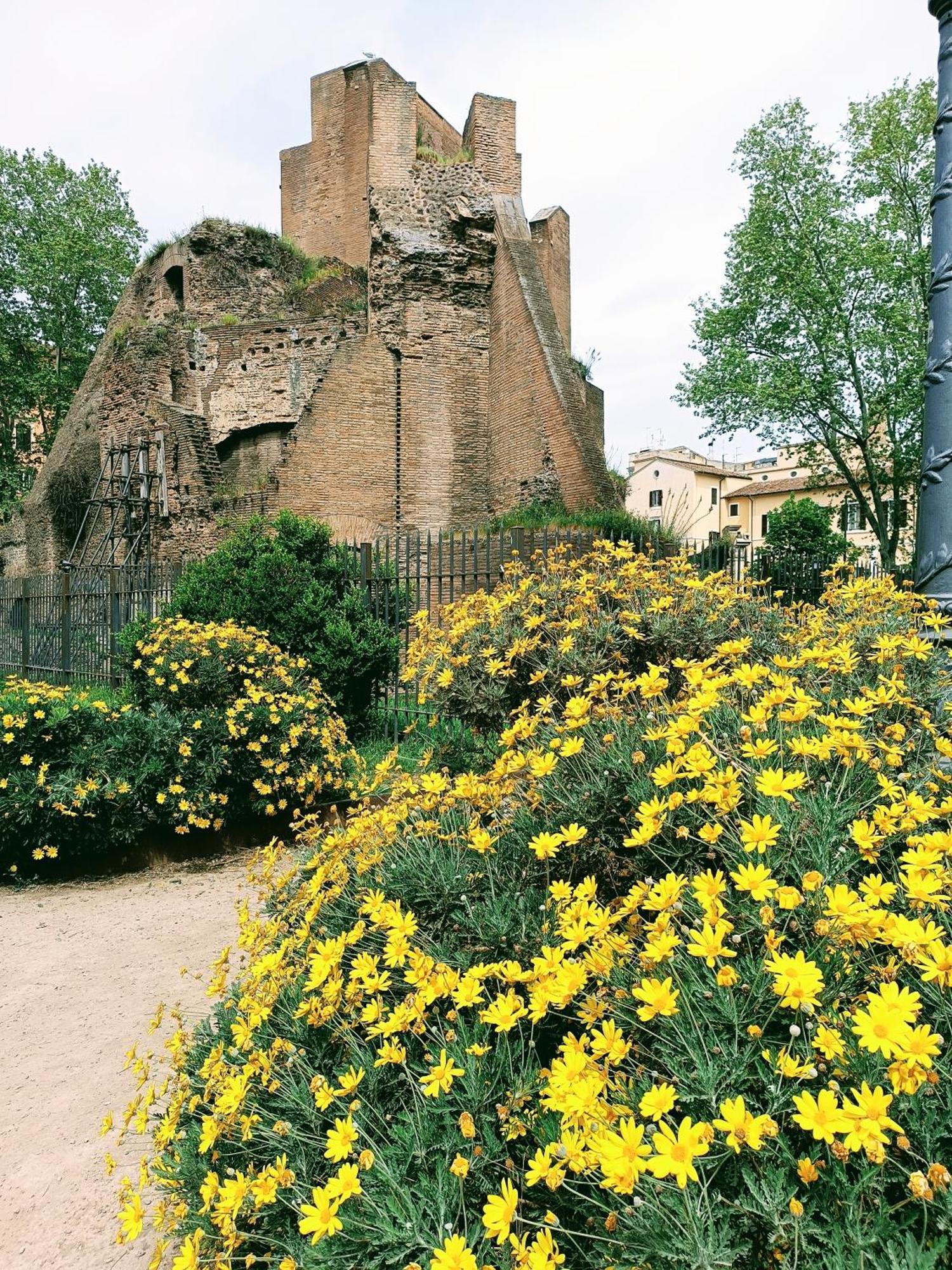 Porta Maggiore 9 Roma Locazione Turistica ภายนอก รูปภาพ